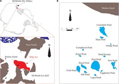Lipid Biomarkers From Microbial Mats on the McMurdo Ice Shelf, Antarctica: Signatures for Life in the Cryosphere